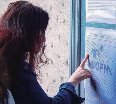 1443 de locuri de muncă, în Constanţa